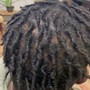 Starter Locs