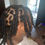 Starter Locs (Ear Length)