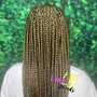 Senegalese Twist(shoulder length