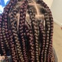 Kid's Feed In braids