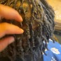 Root Touch Up