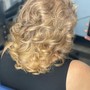 Root Touch Up, Blow-dry & Style