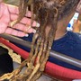 Split Locs