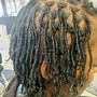 Kids Starter Locs/ Retwist