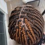 Tree Braids