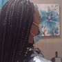 2 Braids with Natural Hair