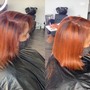 Partial Highlights