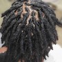 Loc Maintenance (retwist)