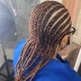 2 Feed-Ins Braids