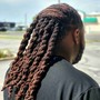 Loc Retwist