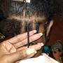 Starter Locs on Short hair