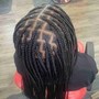 Boy's 2 Strand Twists