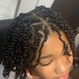 Two Strand Twists on Natural Hair