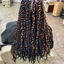 Medium Senegalese Twist