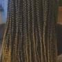 Large Goddess Box Braids