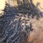 8 week retighten microlocs/sisterlocks