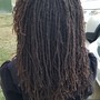 Loc grooming