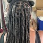 Poetic Justice Braids