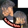 Natural Twists/Natural Box Braids