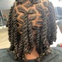 Basic Style (Locs Back Length)