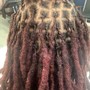 Loc Retwist (Adult)