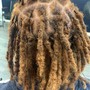 Loc Retwist (Adult)