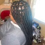 Box Braids  (Small)