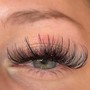 Beginner 1:1 Lash Course