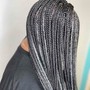 Passion Twist/Spring Twist