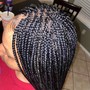 Passion Twist/Spring Twist