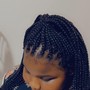 Individual Braids/ Rope Twist