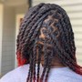 Loc Style 2 strand twist