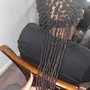 Starter locs consultation, installation and style