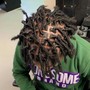 Dreadlock Retwist