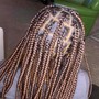 Two Strand Twist