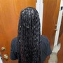 Kid's Box Braids (Hair Added)