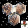 Men scalp braids