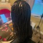 Passion Twists/Spring Twist