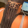 Tree Braids