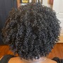 Basic Blow Dry (Natural Hair)