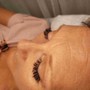 Brow Tinting