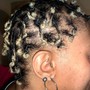 2 strands with braided roots