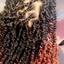 Kinky Twist/Twist Locs