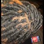 Adult  short (Retwist)