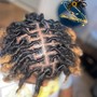 Loc comb out