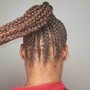 Tree Braids