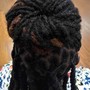 Starter Locs