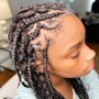 Large Feed in Braids (Lemonade)