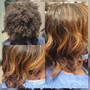 Partial Highlights