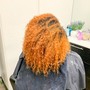 Color/Root Touch Up